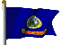 State Flag
