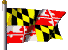 State Flag