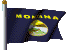 State Flag