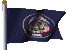 State Flag